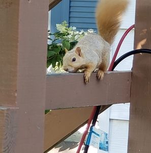 Meet your Posher, Greg